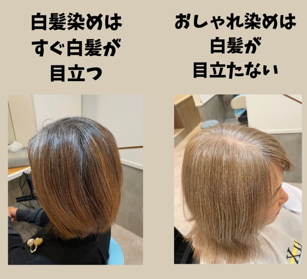 おしゃれ染めと白髪染めの違いをプロが解剖！失敗しない移行の新基準