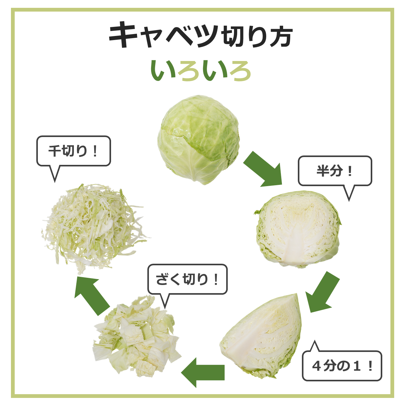 プロ直伝のキャベツの切り方！ふわふわ千切りと料理別裏ワザ大全