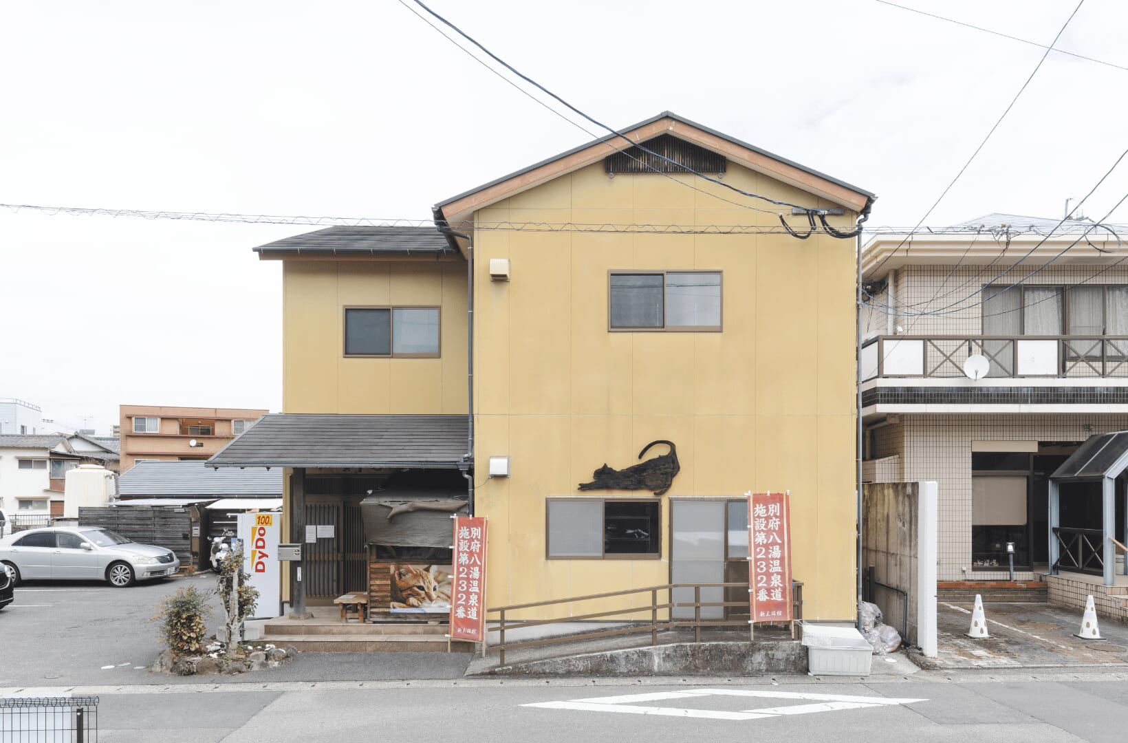 「猫の楽園」別府・新玉旅館の真実｜予約殺到の理由と宿泊ルール徹底解説