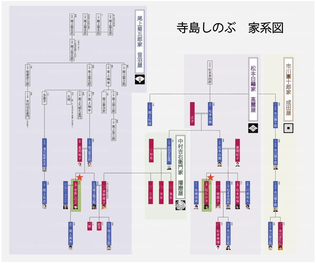 寺島しのぶの家系図総力解剖！人間国宝から息子眞秀へ継ぐ血筋