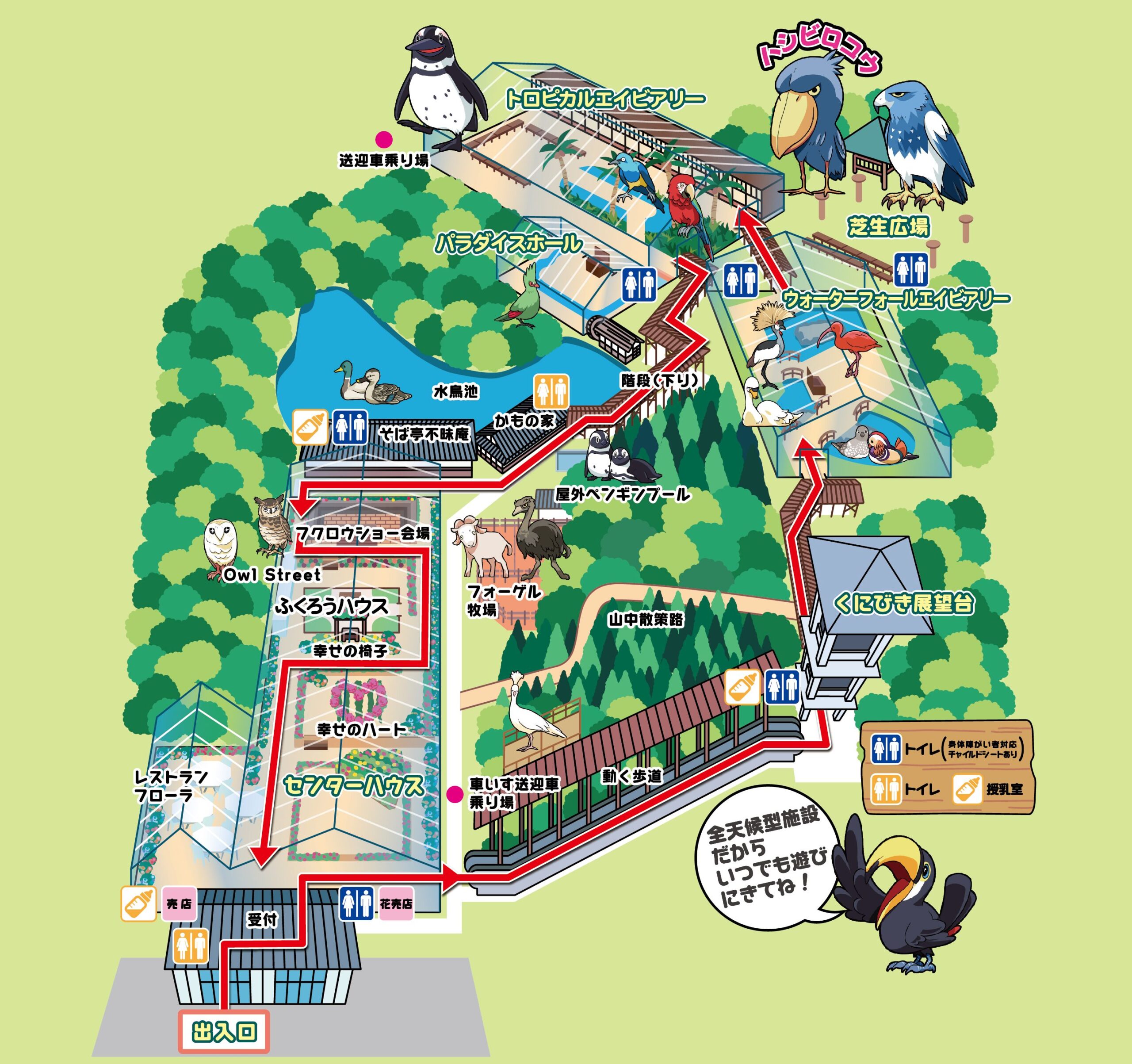 雨でも感動！松江フォーゲルパークの見どころと割引クーポン完全ガイド