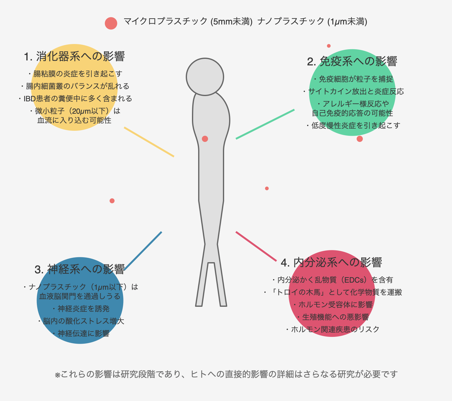 マイクロプラスチック人体影響の真相｜血液混入と健康リスク最新報告