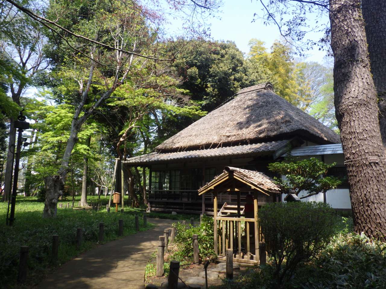 世田谷・蘆花恒春園の全貌！文豪旧宅の歴史から四季の花・ドッグランまで