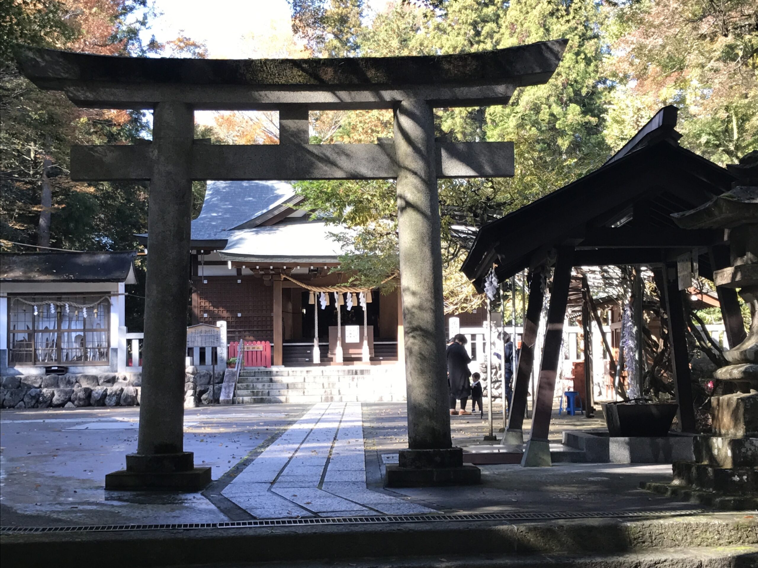 西伊豆クリスタルビューホテルの口コミと評判を徹底検証【2026最新】