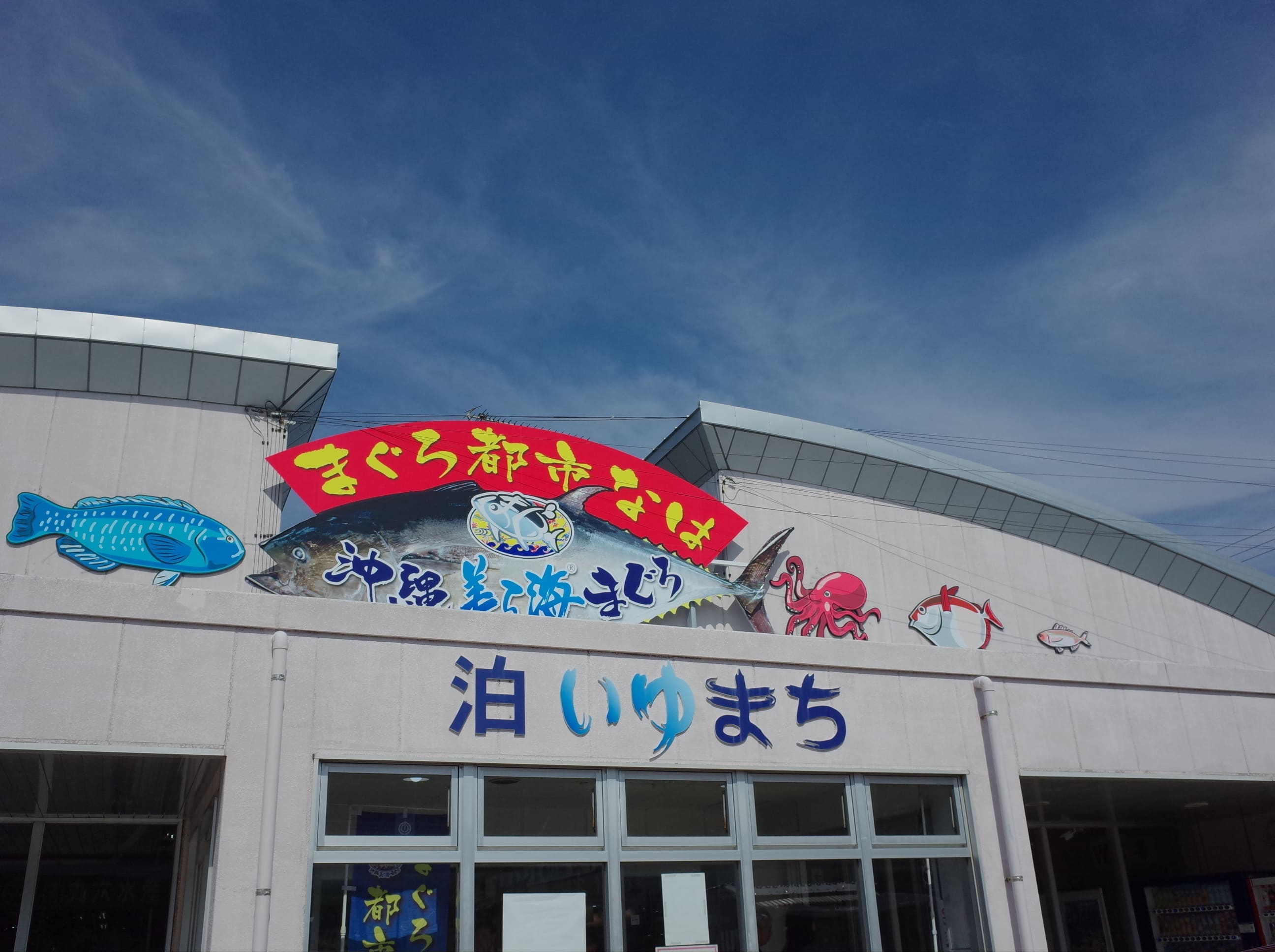 泊港漁市場の真相！早朝から人が殺到する理由と2026年最新攻略法