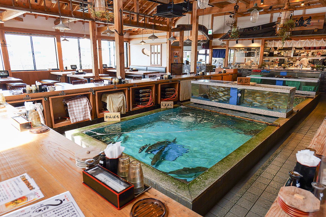 高知「活魚 漁ま」の圧倒的鮮度とコスパの秘密！混雑攻略法まで徹底解説