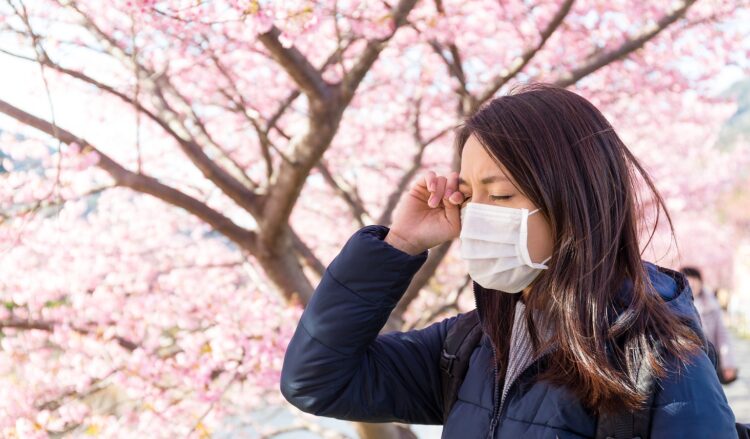 2026年春の飛散ピーク到来！「花粉症になる人 ならない人」を分ける決定的な境界線とは？最新科学が突き止めた真相