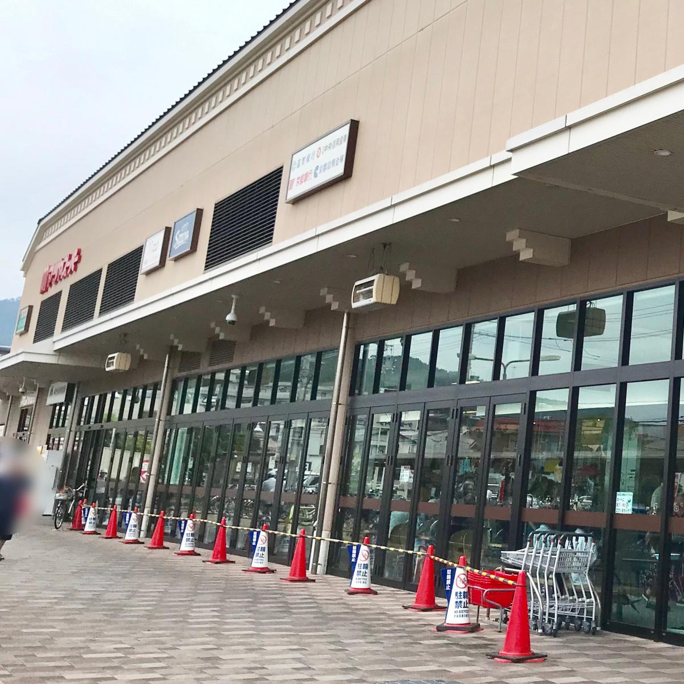 マツヤスーパー山科三条店徹底攻略！特売日と混雑回避のコツ【2026】