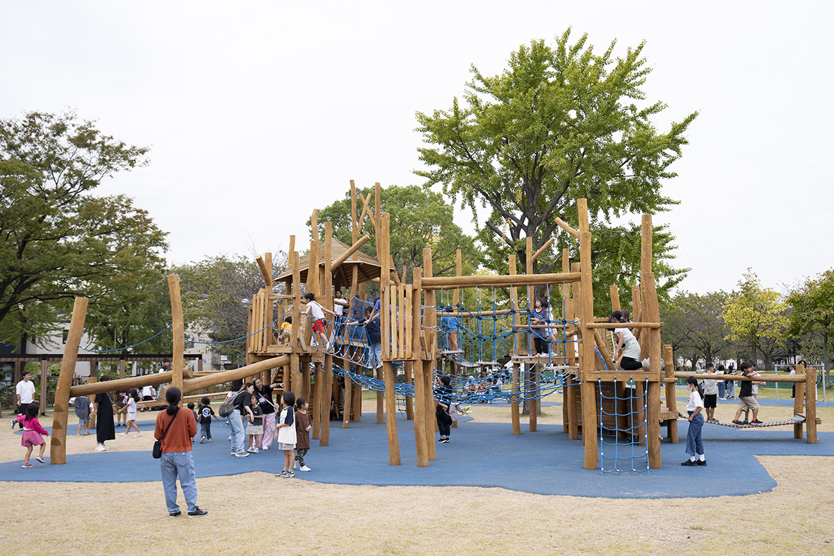 富士見公園リニューアルの全貌と駐車場・遊具の真実【2026年】
