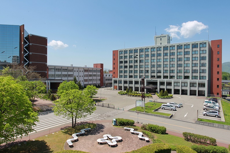 札幌国際大学の激変と就職実績の真相！学部改組と合格戦略に迫る