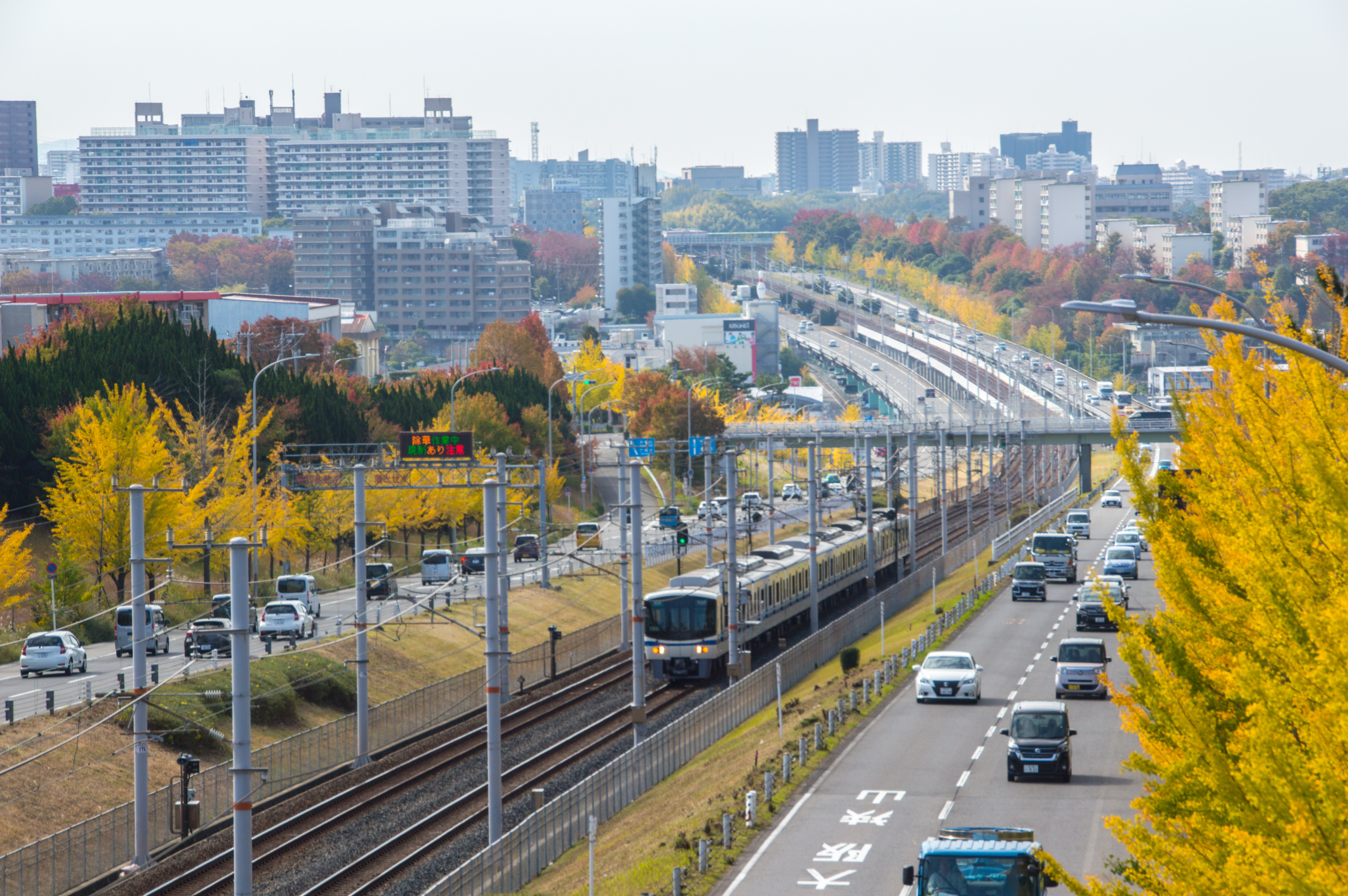 泉北1号線の事故・渋滞原因とオービス取り締まり回避策徹底解説