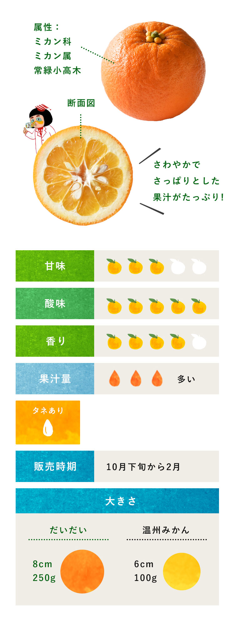 「だいだい」の本当の意味と由来とは？果実から名曲まで徹底解説