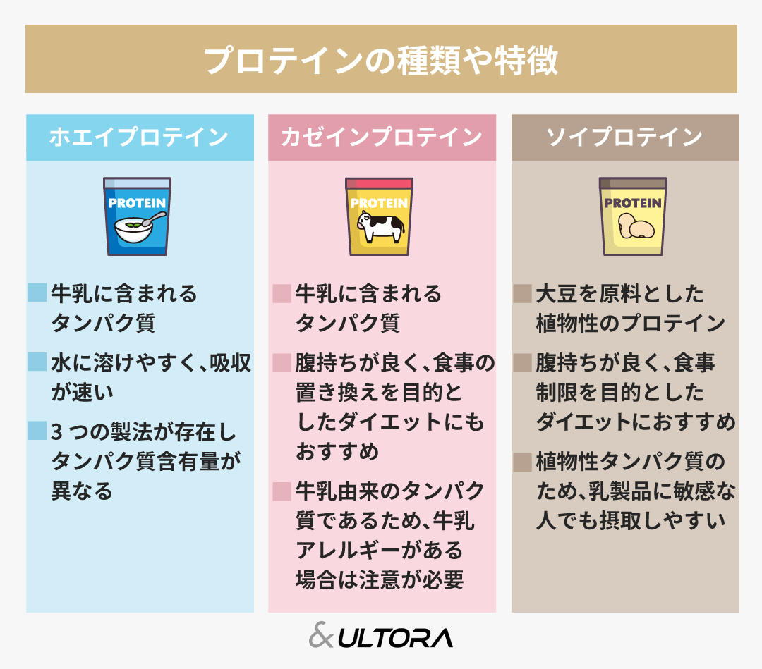 ホエイとソイの違いは？筋トレ・減量効果と選び方を徹底検証【2026】