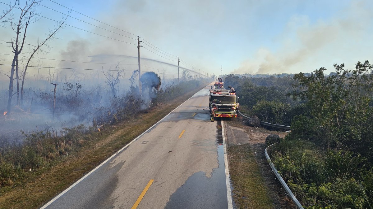 Southwest Florida News Today