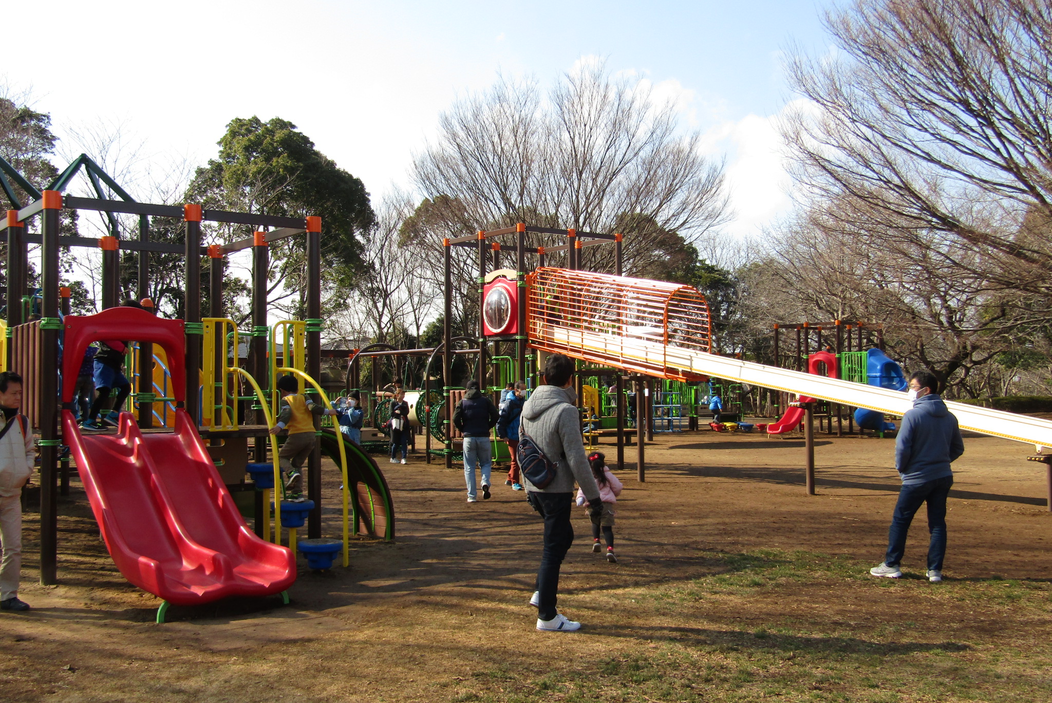 青葉の森公園の真価とは？駐車場の混雑攻略から穴場まで徹底解剖