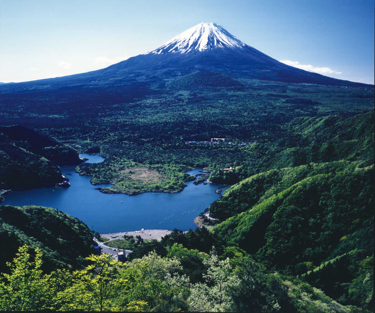 富士山世界遺産センター山梨の限定見どころと混雑回避ルート解説