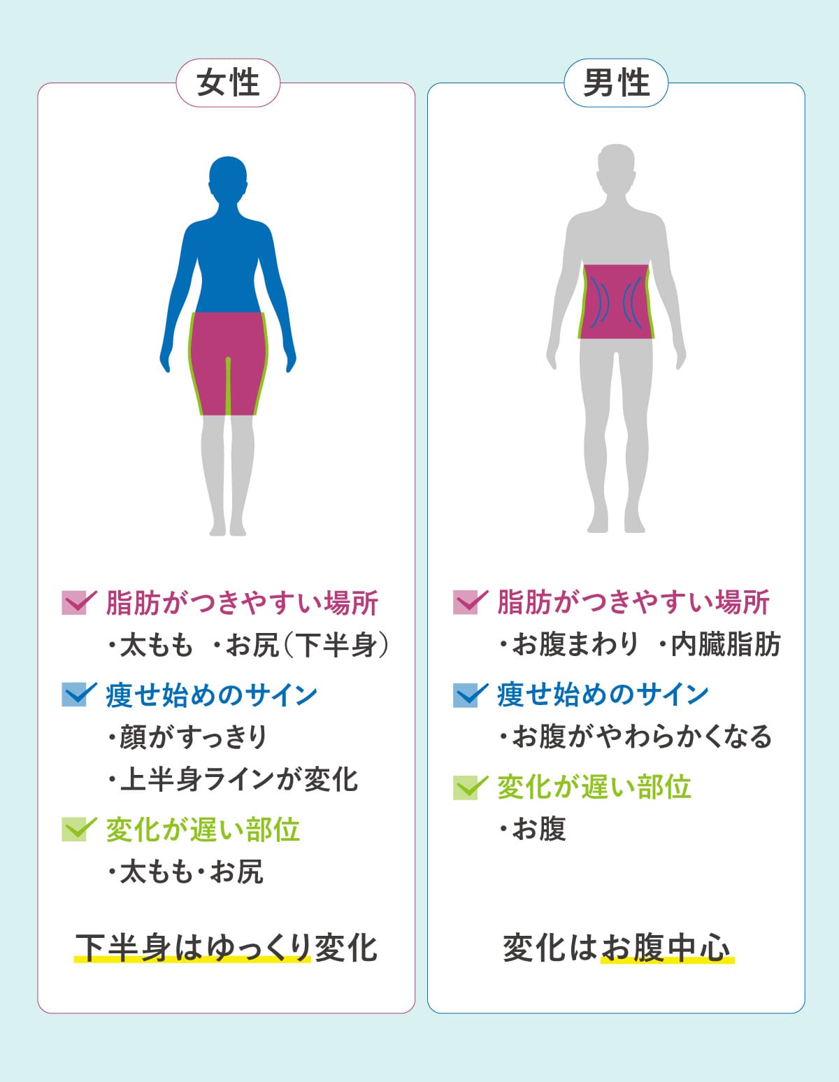 体重が減らないのに痩せる？プロが見抜く痩せ始めサインの真相