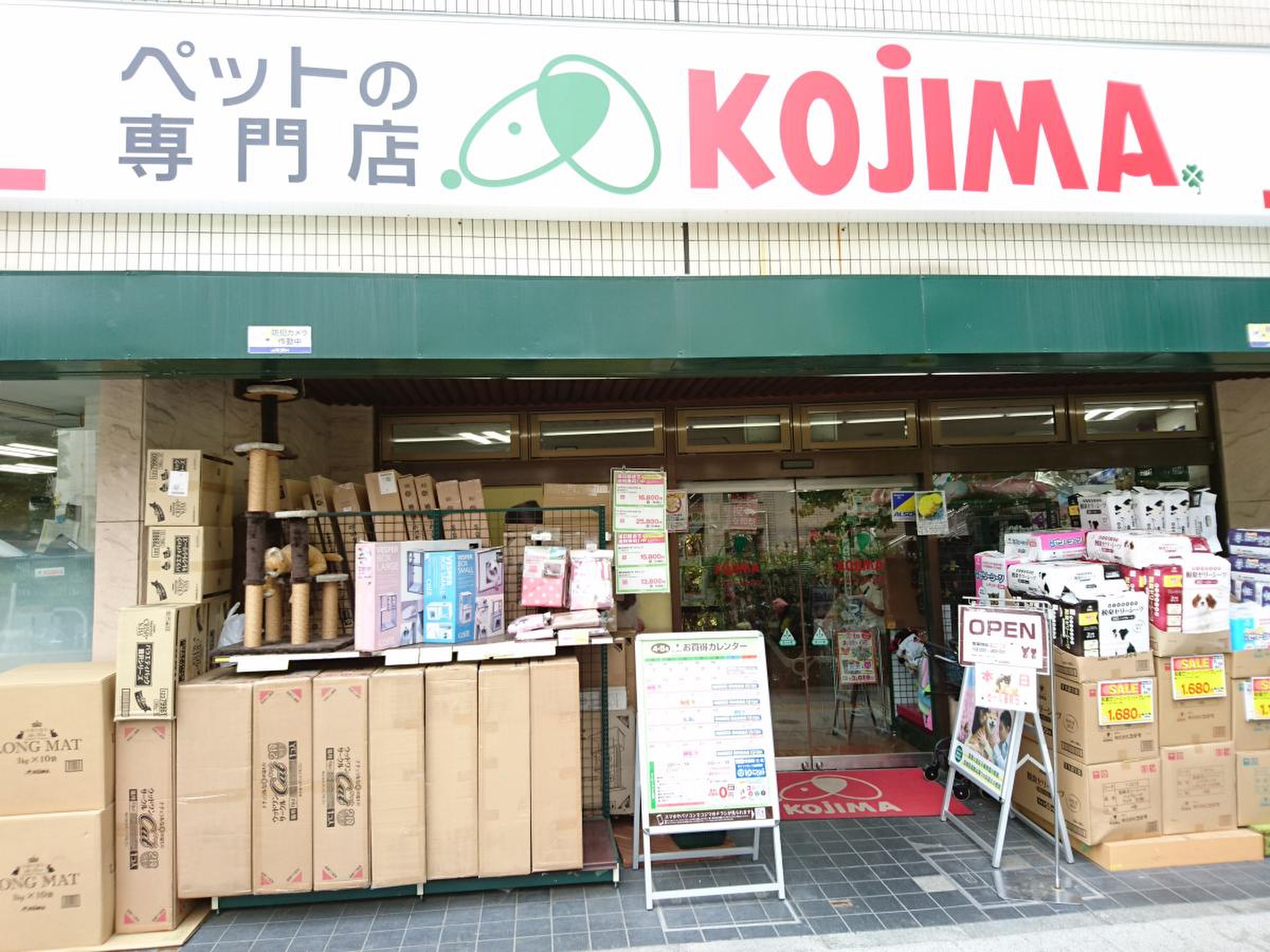 コジマ板橋店の評判と口コミを徹底解剖！生体・病院・予約の真相