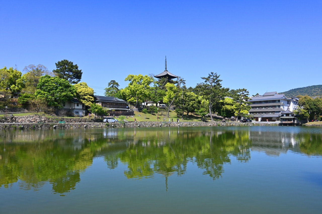 2026年の奈良で何が起きているのか？ 猿沢池の逆転劇と、水面に映る古都の絶景