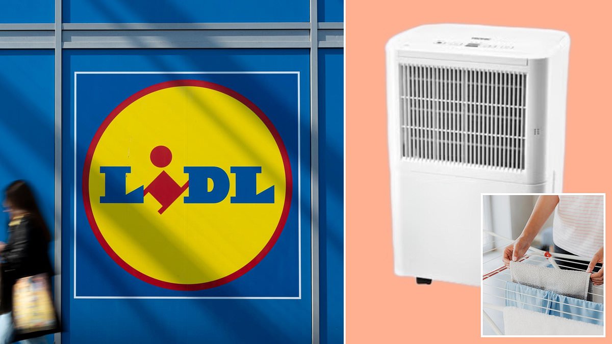 Budget Lidl Tronic Dehumidifier Clothes Drying