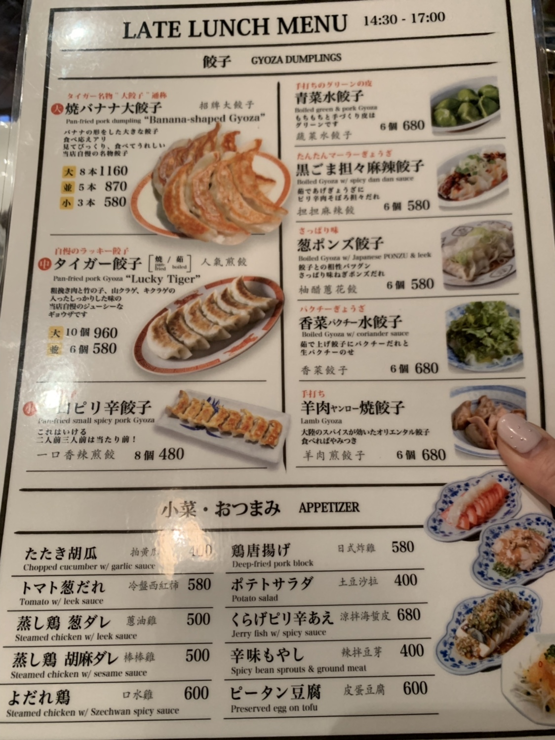 タイガー餃子河原町人気の秘密！名物大ぶり餃子と担々麺の評判徹底解明