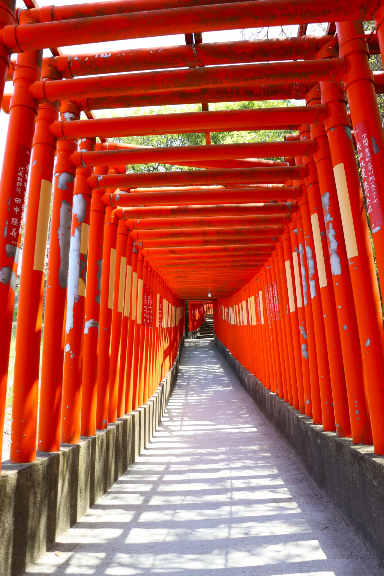 人生が変わる福徳稲荷神社｜千本鳥居の絶景とご利益の真相【2026】