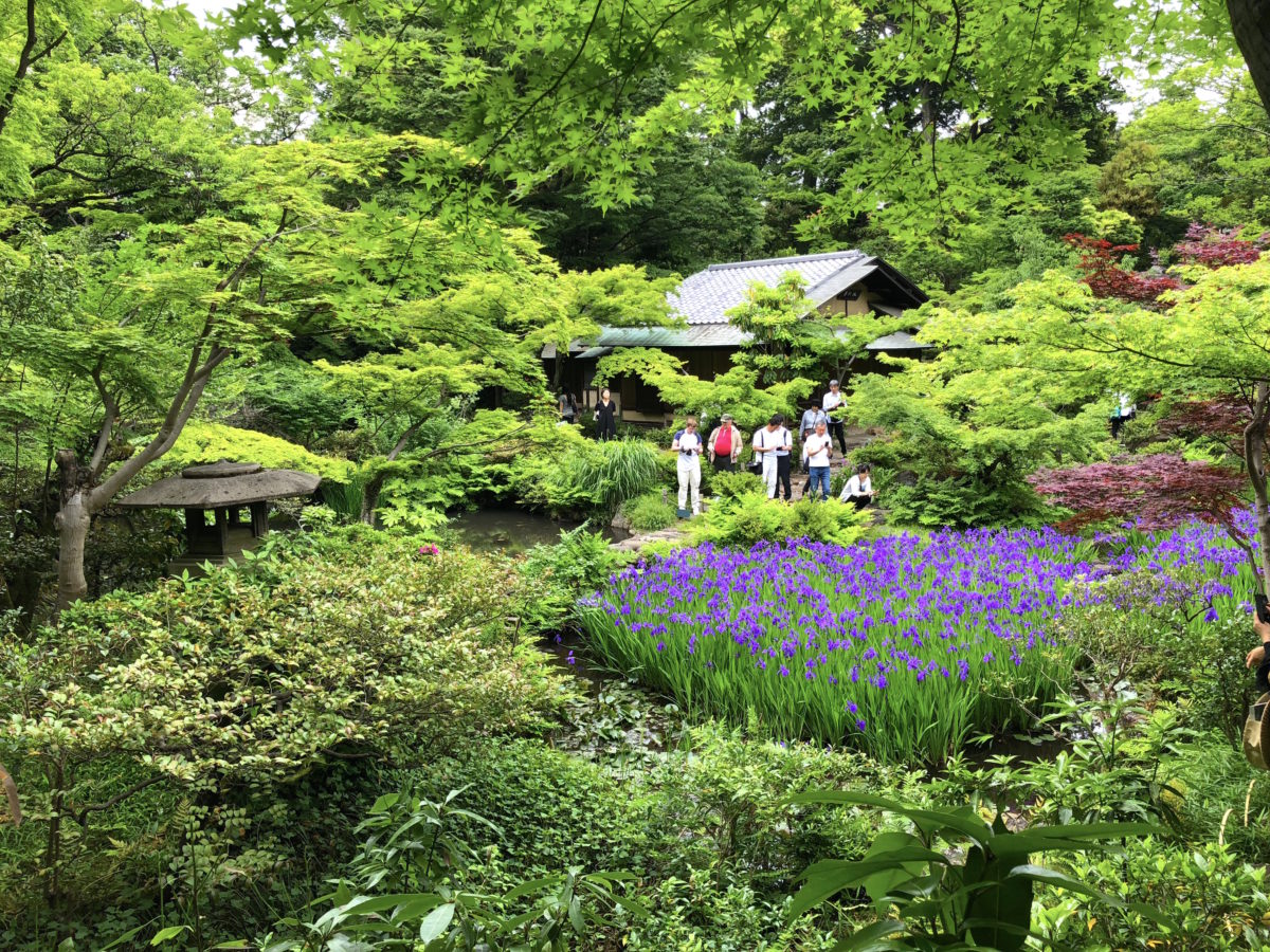 根津美術館の写真ルール徹底解説！庭園と展示室の境界線【2026】