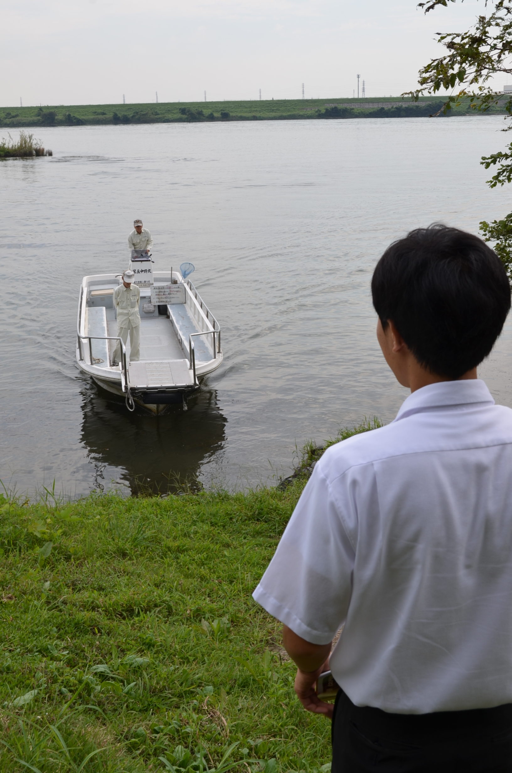 愛知県営西中野渡船場はなぜ無料？県道135号の秘密と2026最新利用術