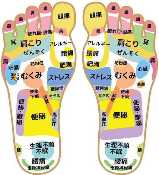 足裏の不調サインを暴く！内臓疲労と自律神経を救う即効プレス術
