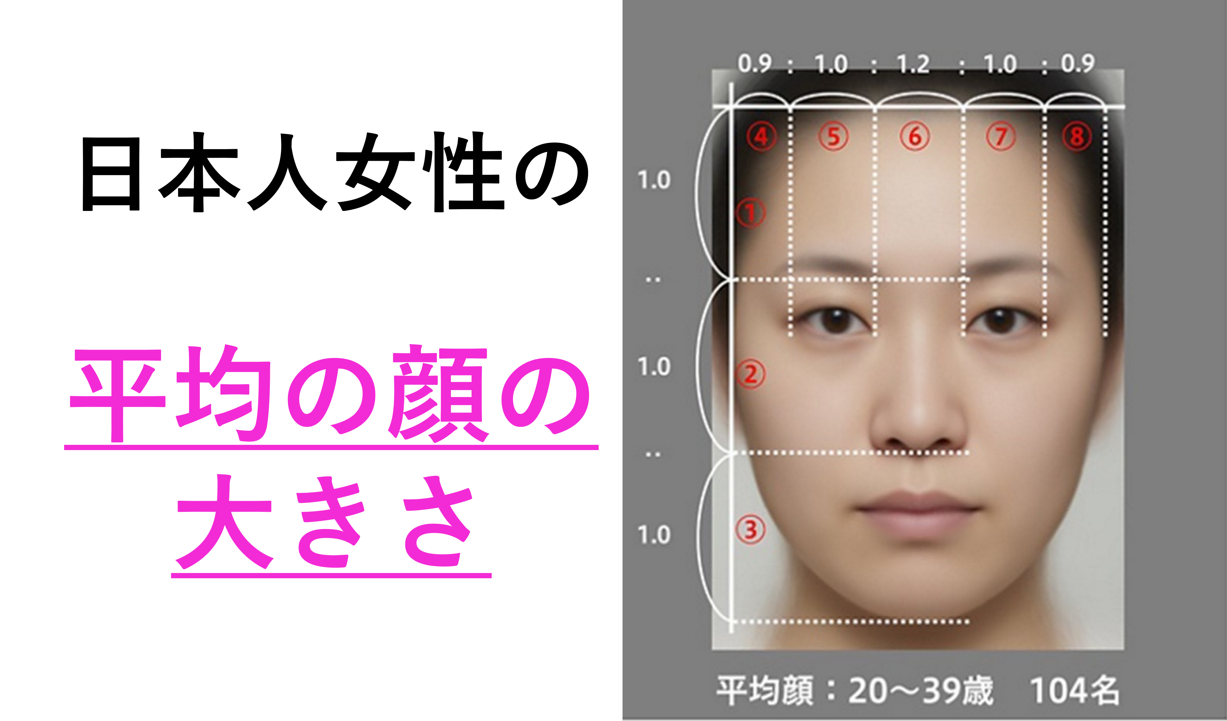 顔の大きさ平均は何Cm？男女別データと小顔に見せる黄金比を徹底解剖