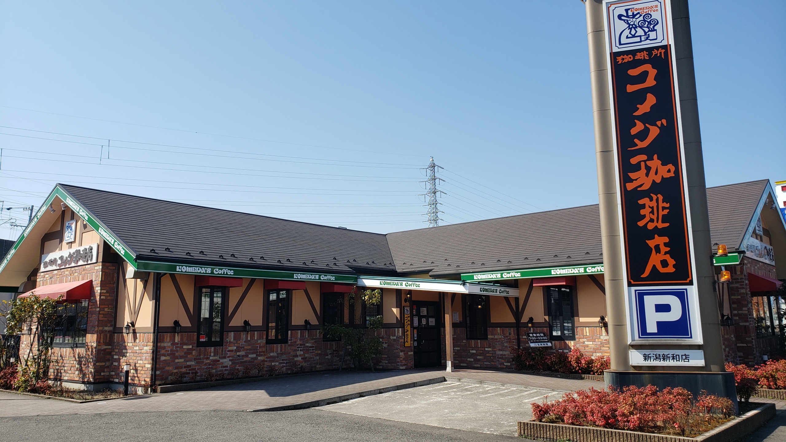 コメダ珈琲店新潟新和店の混雑回避術！モーニングや電源を徹底検証