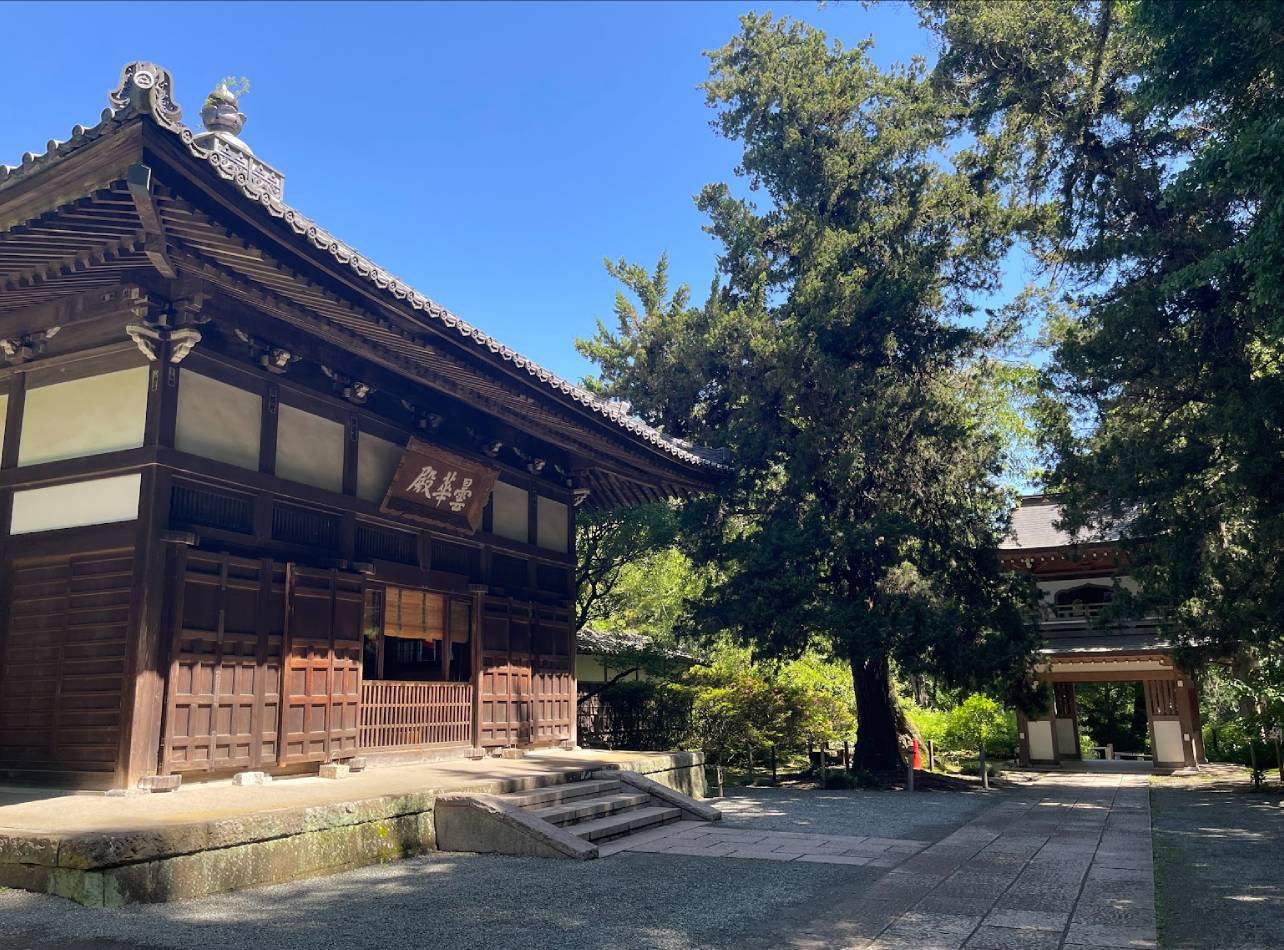 北鎌倉の名刹「浄智寺」徹底解剖！布袋尊の秘密と四季の見どころ