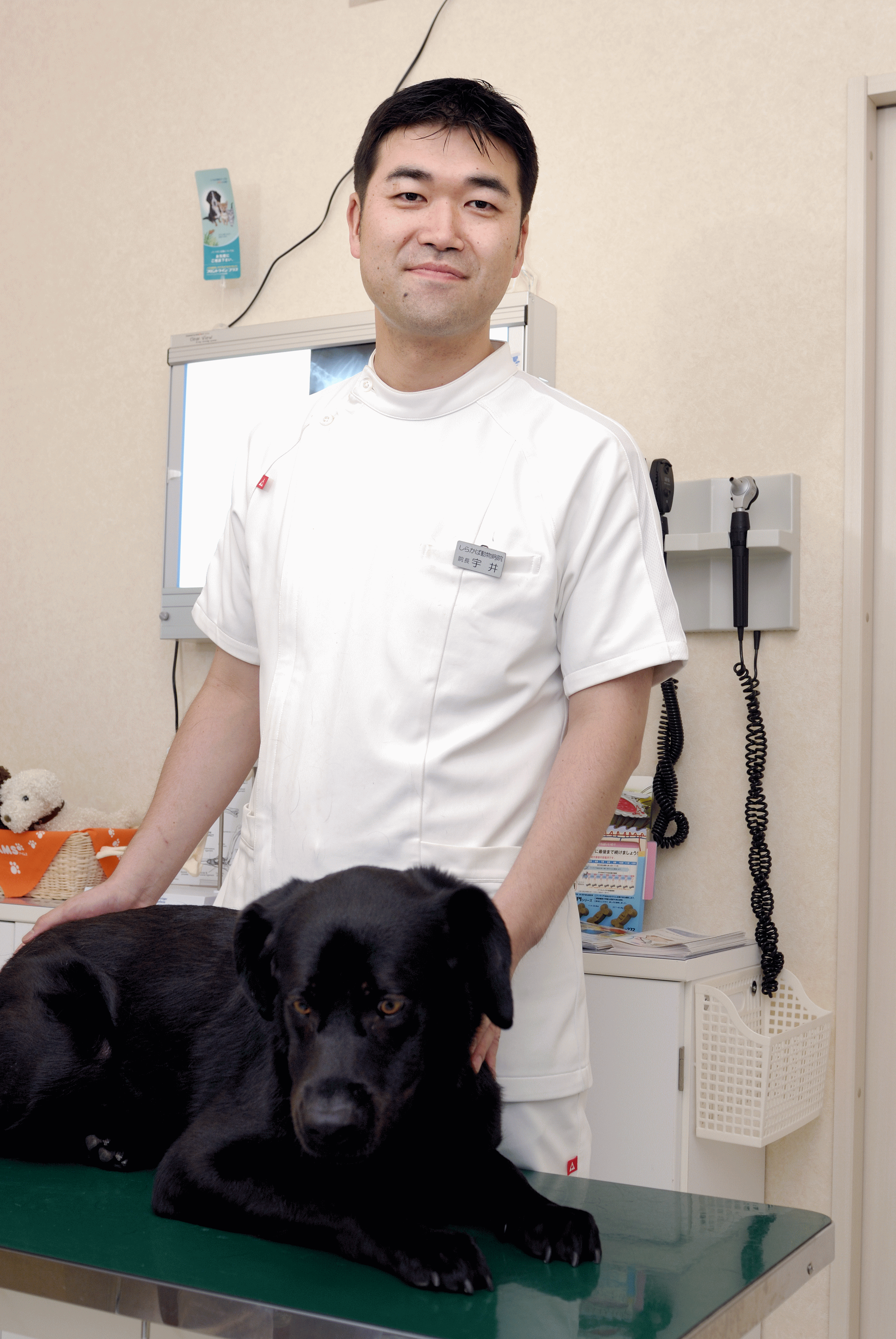 しらかば動物病院の評判と口コミ真相！診療料金や混雑状況を徹底調査