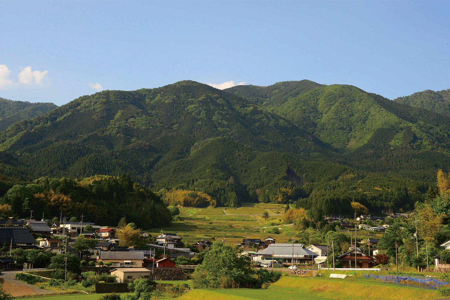 岡山県美作市の真相｜湯郷温泉と移住支援で沸く街の魅力と盲点