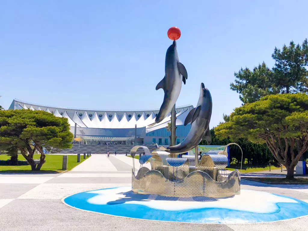 【2026最新】九州水族館おすすめ比較！巨大水槽とイルカショー