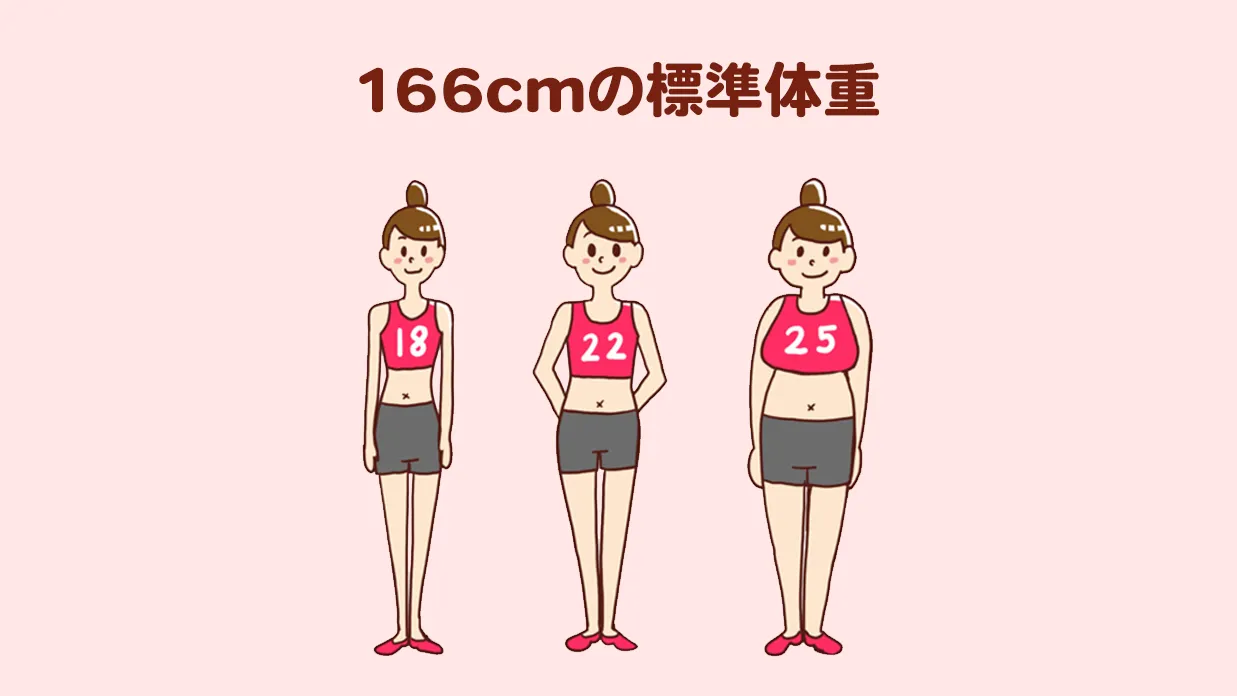 166Cmモデル体重は何キロ？芸能人の実数値と見た目の真相を徹底解明