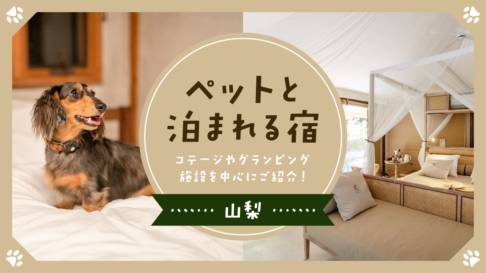 山梨のペットと泊まれる宿2026！愛犬家に選ばれる理由と人気宿の真実