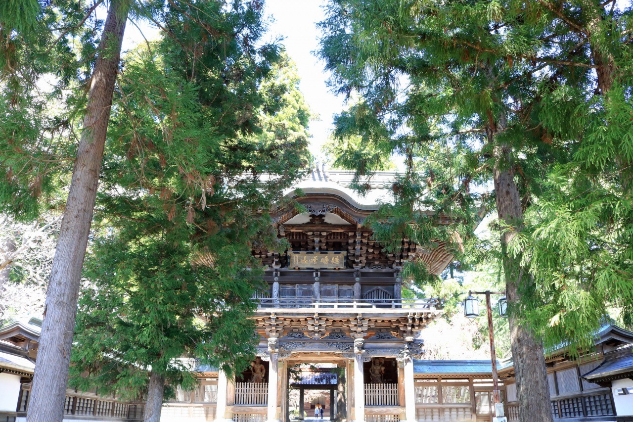 報恩寺の歴史と真相に迫る！圧巻の五百羅漢と鳴虎伝説の魅力を徹底解剖