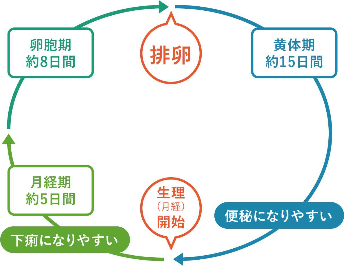 なぜ毎月お腹を下す？生理中の下痢・腹痛の原因と即効対処法まとめ