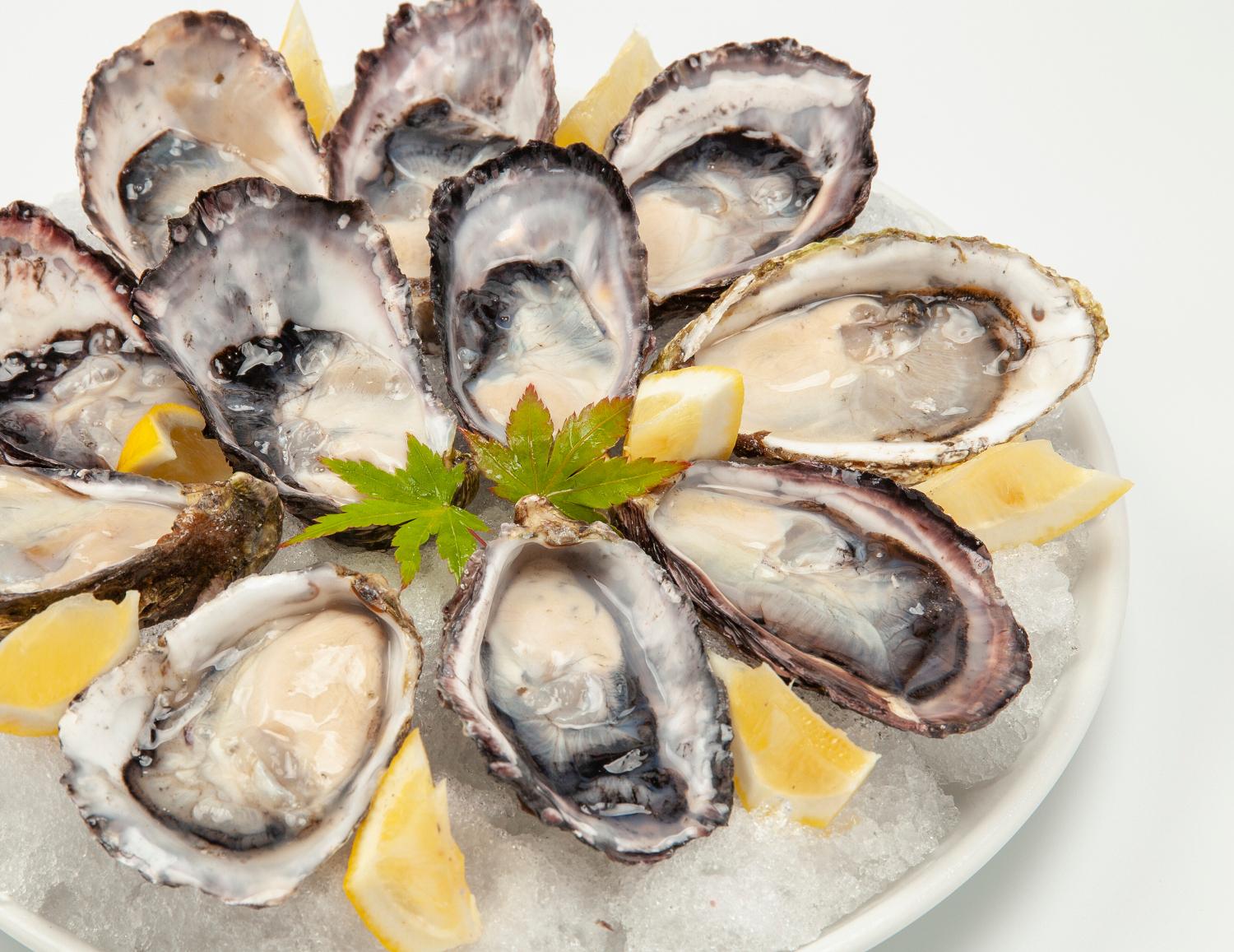 宮崎産牡蠣が今、全国の食通を魅了する理由――日向灘が生んだ「幻の濃厚ボディ」と2026年最新の最前線