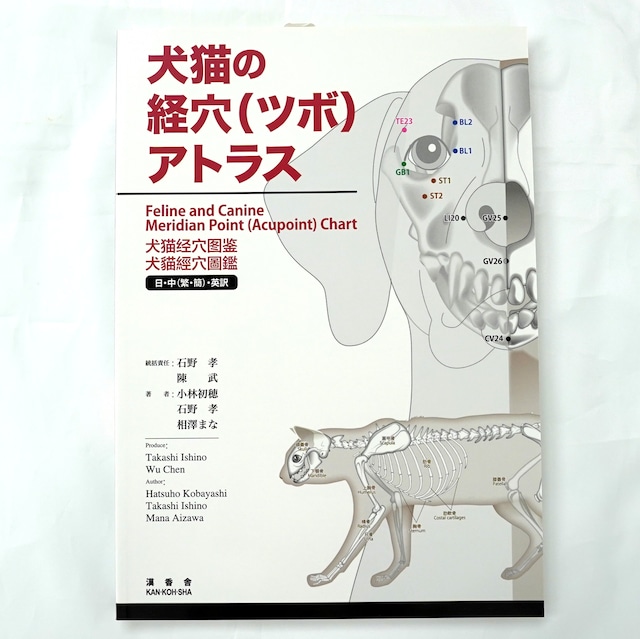 【図解】猫のツボと喜ぶマッサージ法！便秘・ストレス解消とNg部位