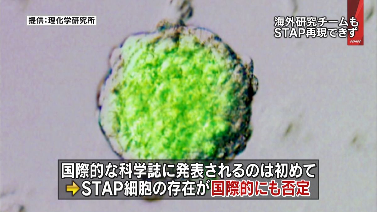小保方晴子の現在とStap細胞の真相｜論文撤回から12年後の全貌