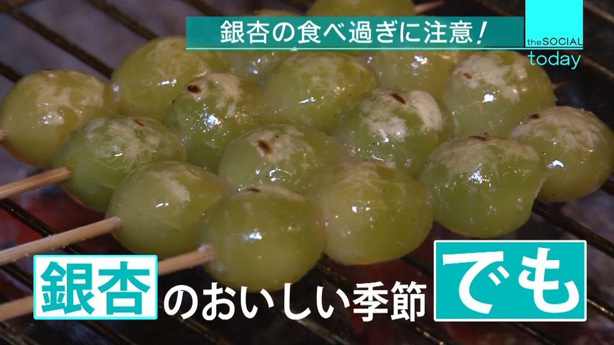 銀杏の食べ過ぎで死亡する？致死量の目安と危険な中毒症状を徹底解明