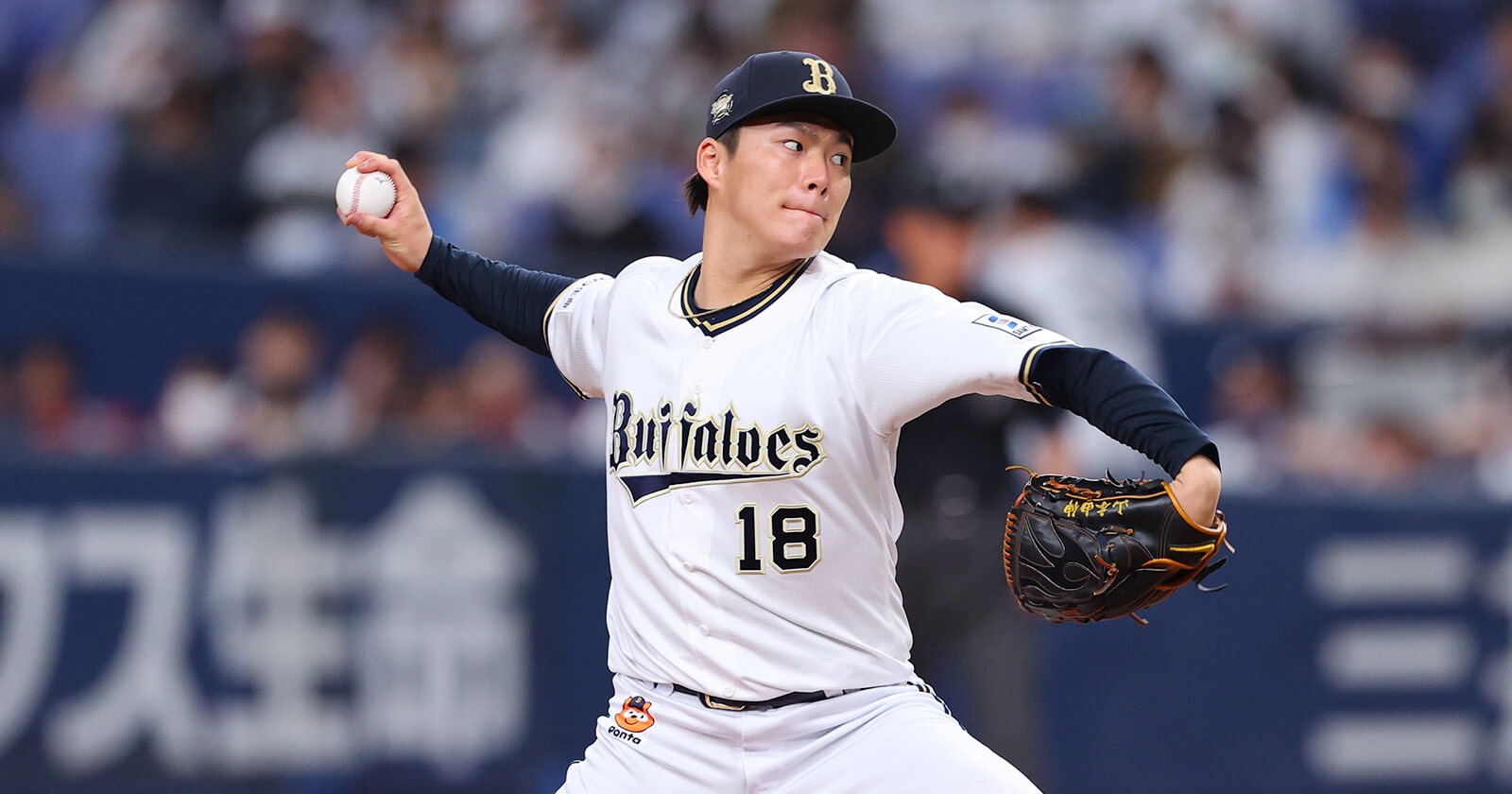 山本太郎の姉・山本利華の現在と逮捕の真相！政界進出の噂を追う
