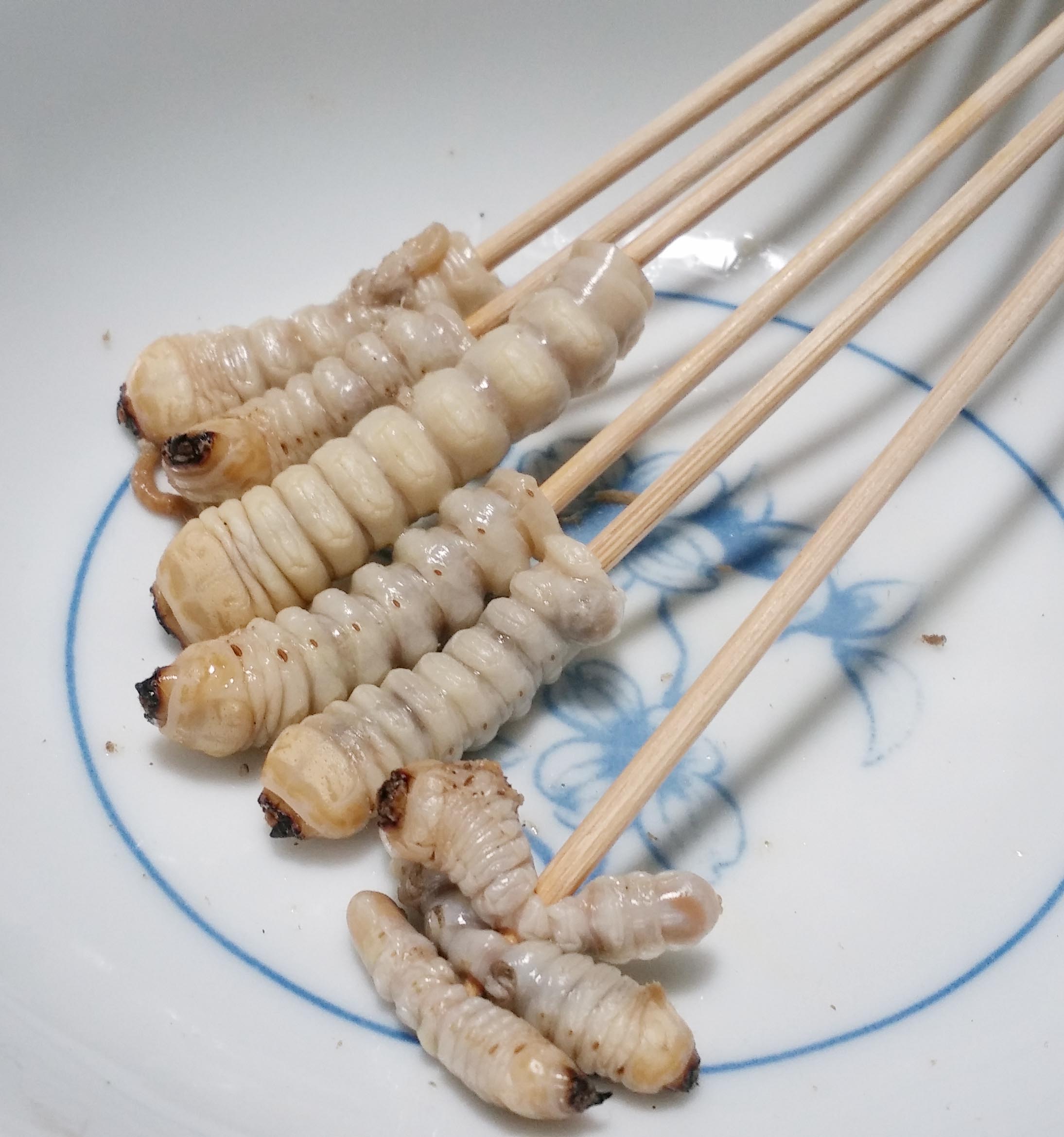 カミキリムシ幼虫は本当にトロの味？生食の危険性と美味な調理法を徹底解説