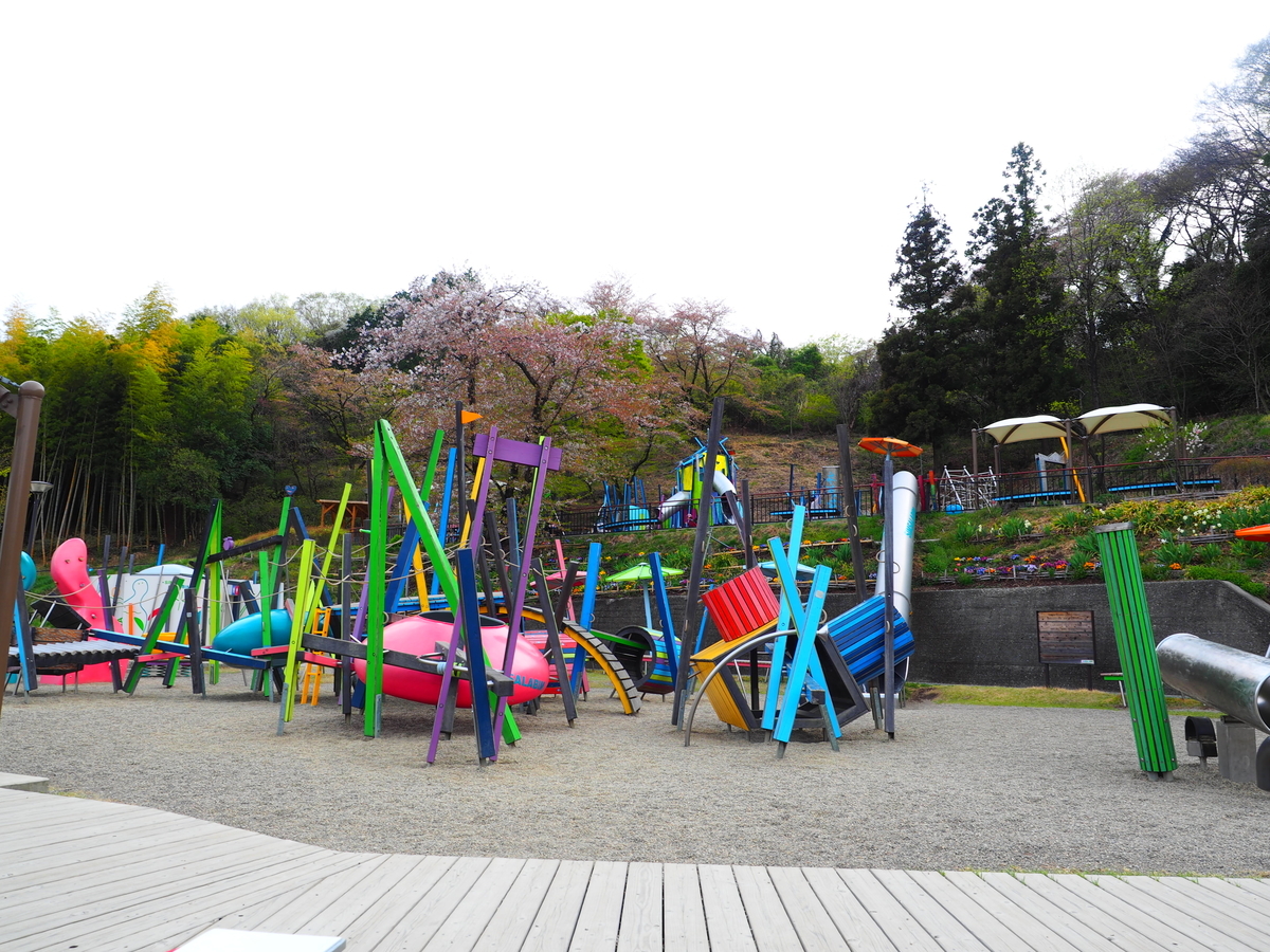 カッパピア跡地がなぜ大人気に？観音山公園が劇的進化を遂げた真相