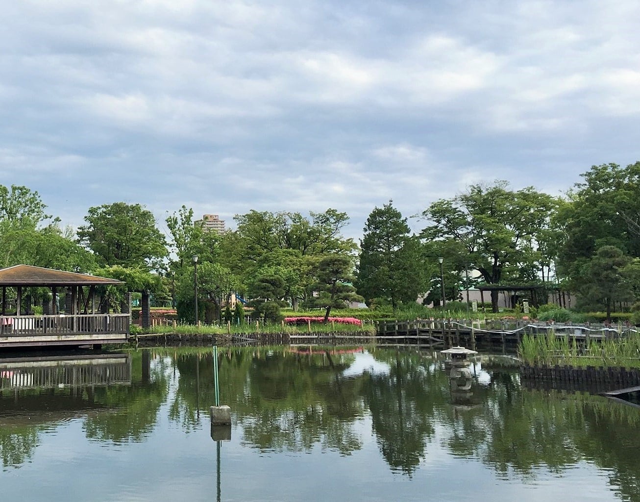 都会のオアシス荒川自然公園攻略！無料交通園と昆虫観察園の魅力