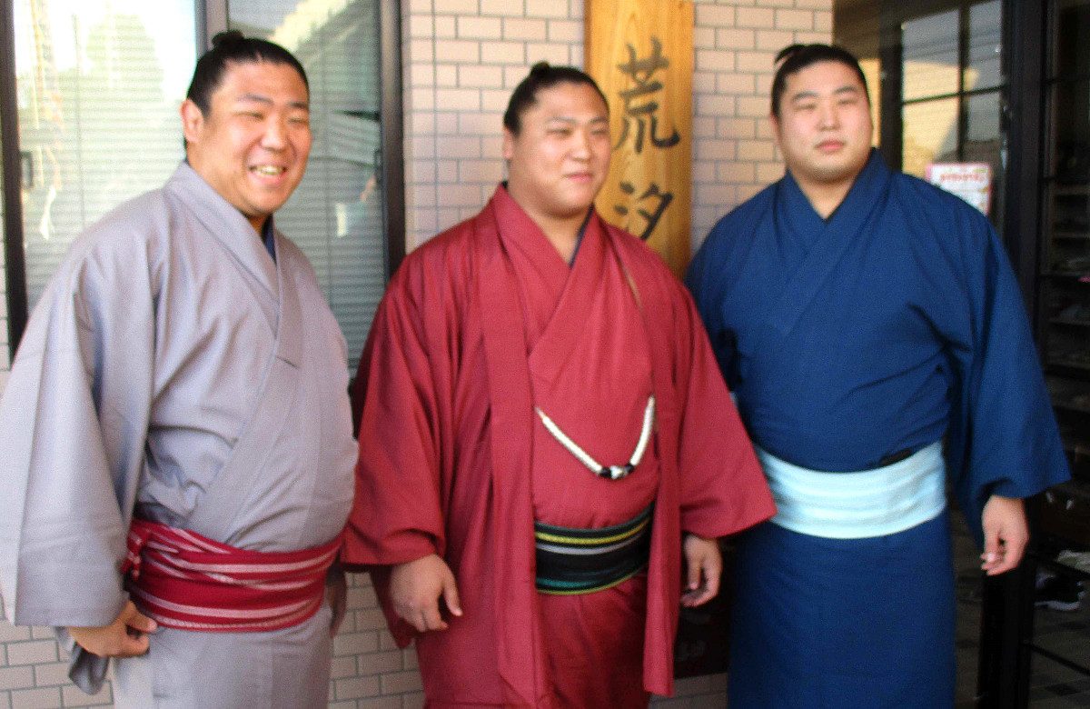 若隆景ら大波三兄弟の現在地！番付や四股名の由来と強さの秘密