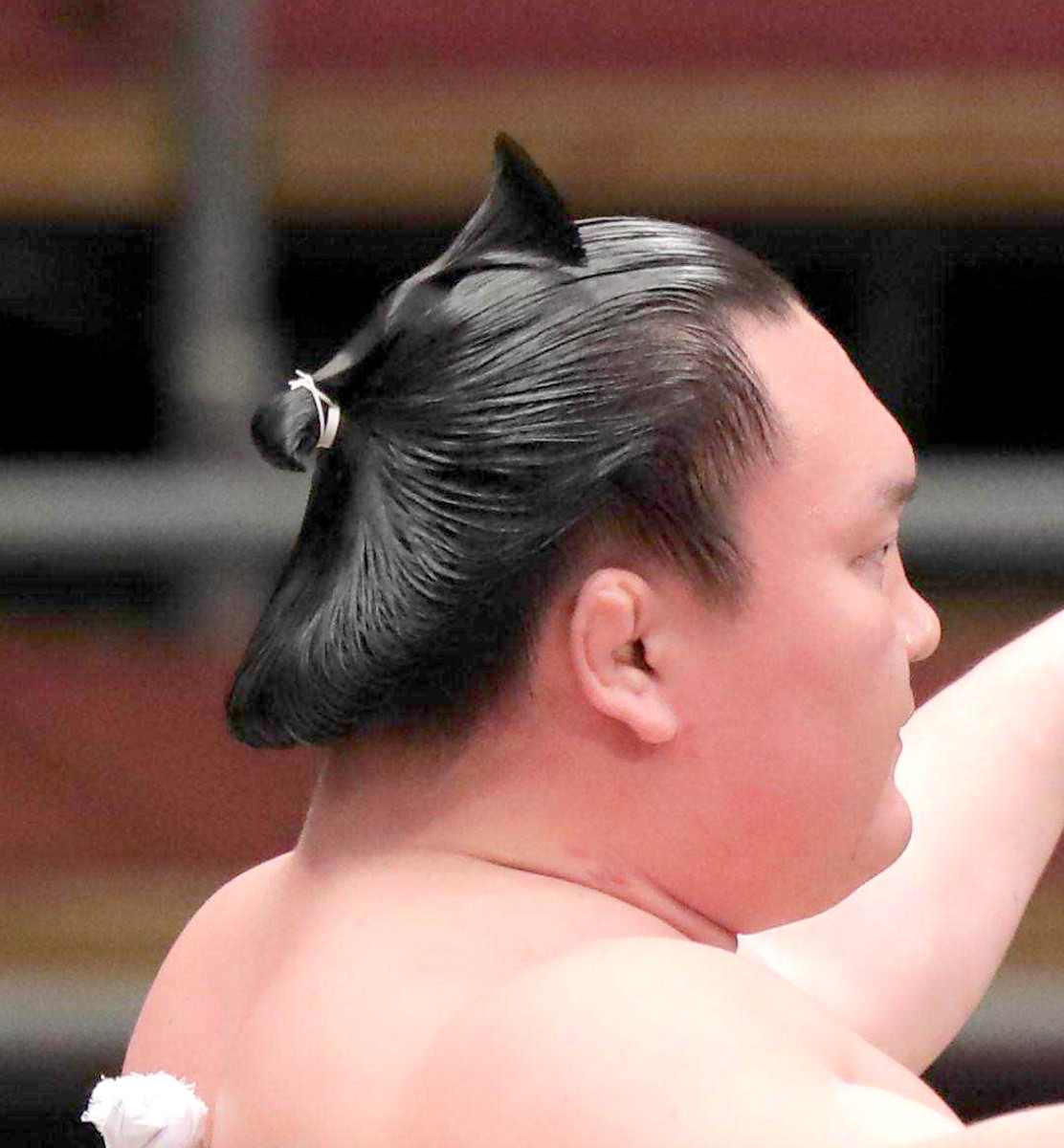 大相撲の大銀杏はいつから結える？関取の特権や薄毛対処法の全真相