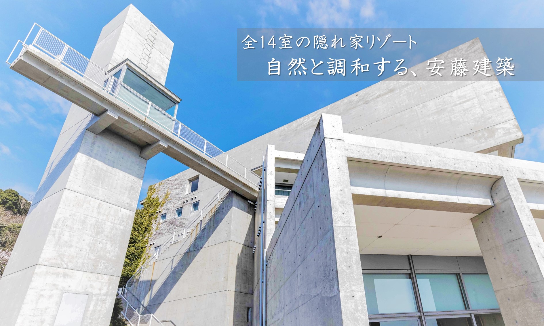 海へ切り込む安藤建築の傑作——喧騒の淡路島で旅人が最後に辿り着く「静寂の隠れ家」の現在地【2026年現地ルポ】